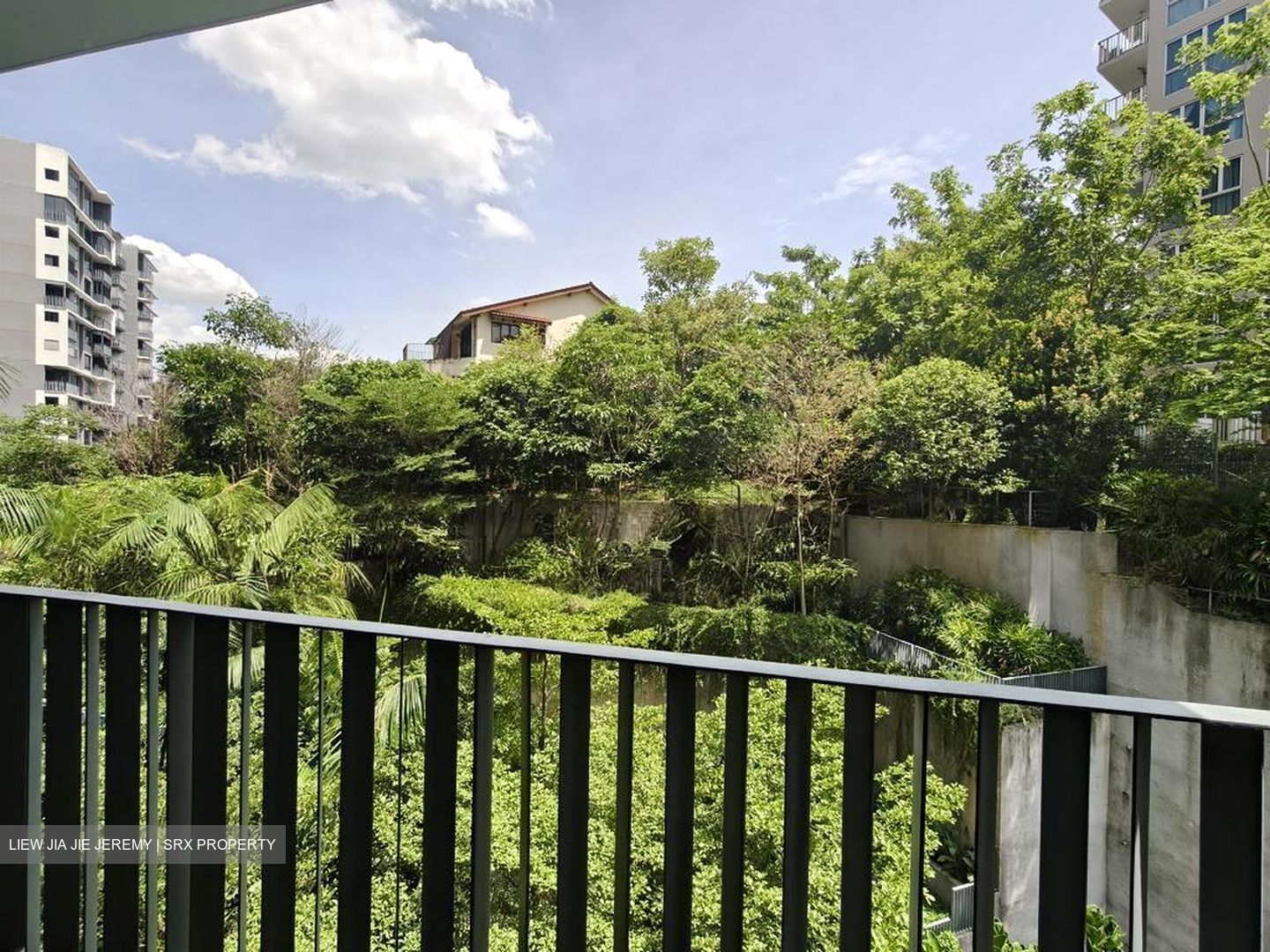 Grandeur Park Residences (D16), Condominium #502165991